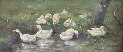 Edward CHAPPEL (1859-1946), Weiße Enten an der Uferzone eines Teichs mit Wiese und Bewuchs,