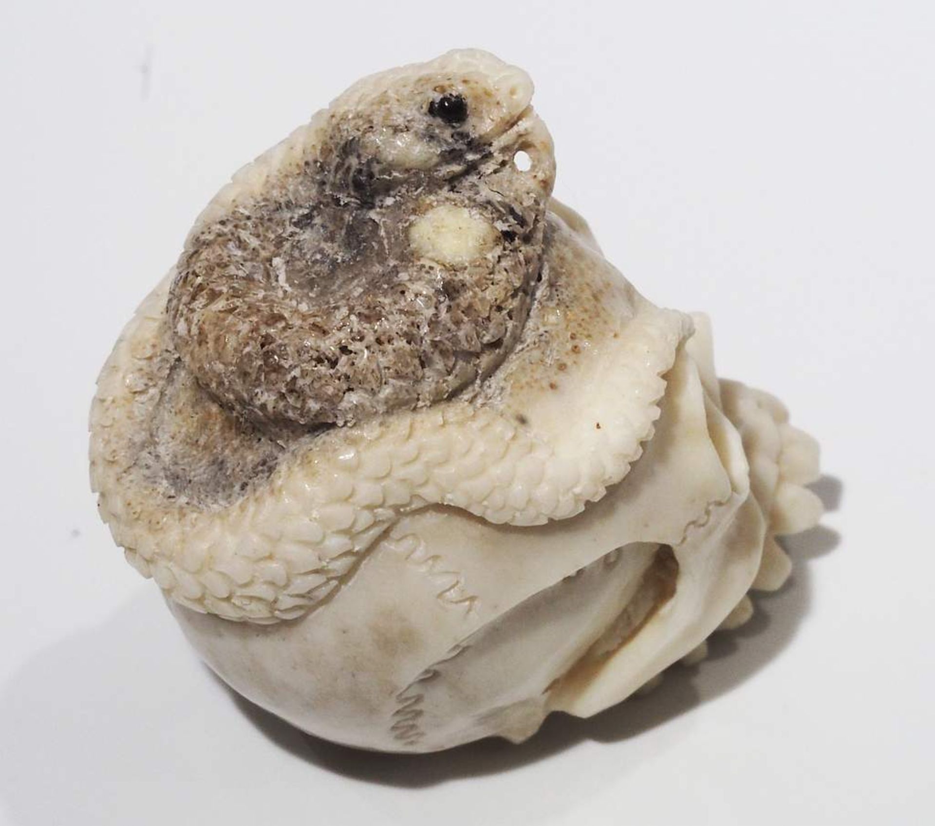 Netsuke, Schnitzfigur "Totenkopf mit Schlange", Augen aus Onyx. - Bild 5 aus 9