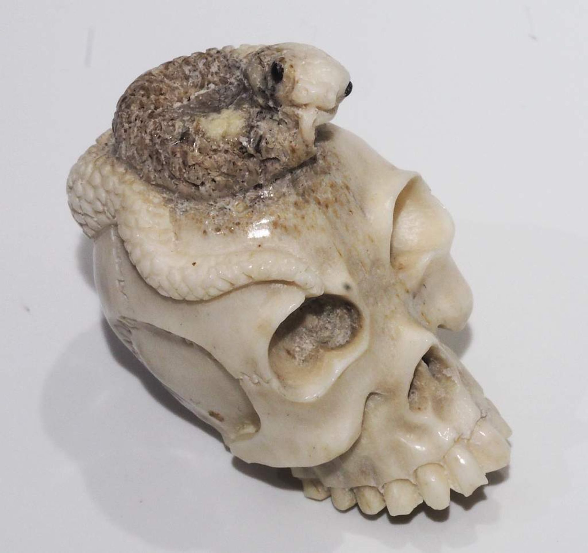 Netsuke, Schnitzfigur "Totenkopf mit Schlange", Augen aus Onyx. - Bild 3 aus 9