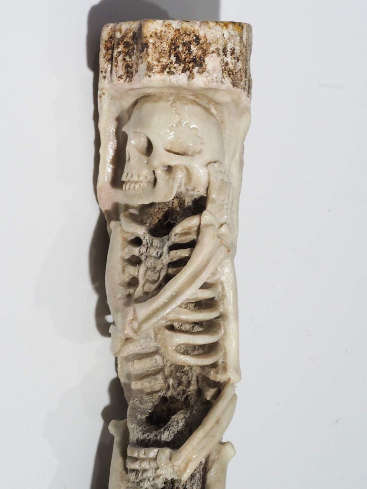 Skelett im Ganzen, Hirschhorn, geschnitzt.  - Bild 3 aus 9