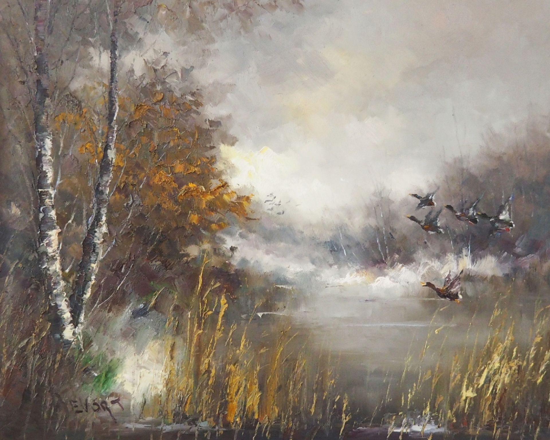 Aufsteigende Enten am Teich im Morgentau