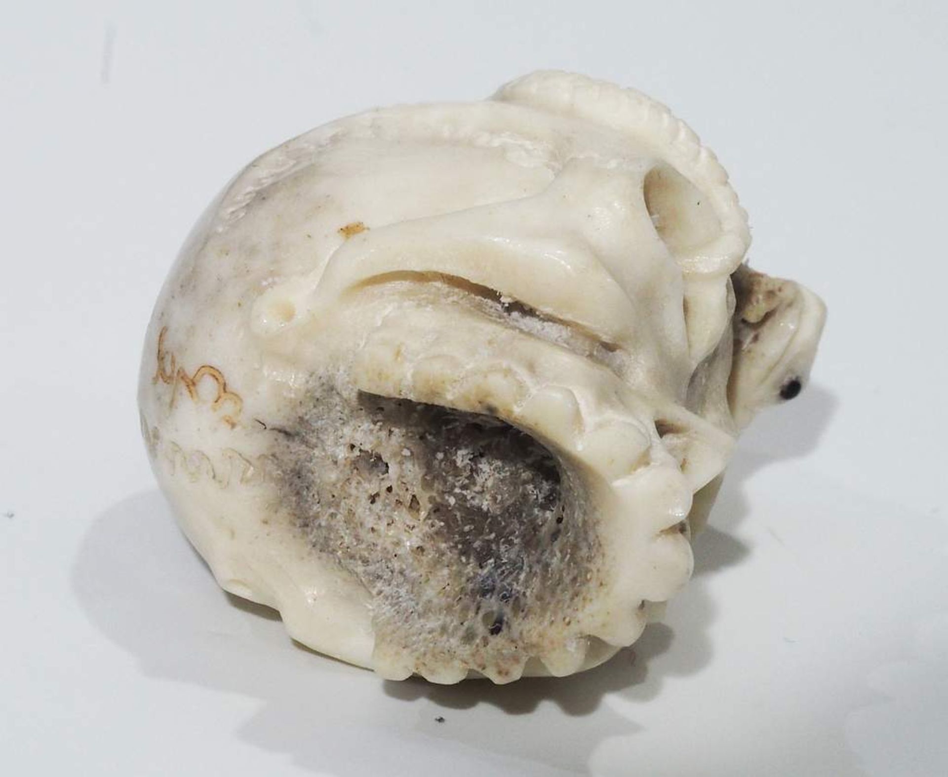 Netsuke, Schnitzfigur "Totenkopf mit Schlange", Augen aus Onyx. - Bild 7 aus 9