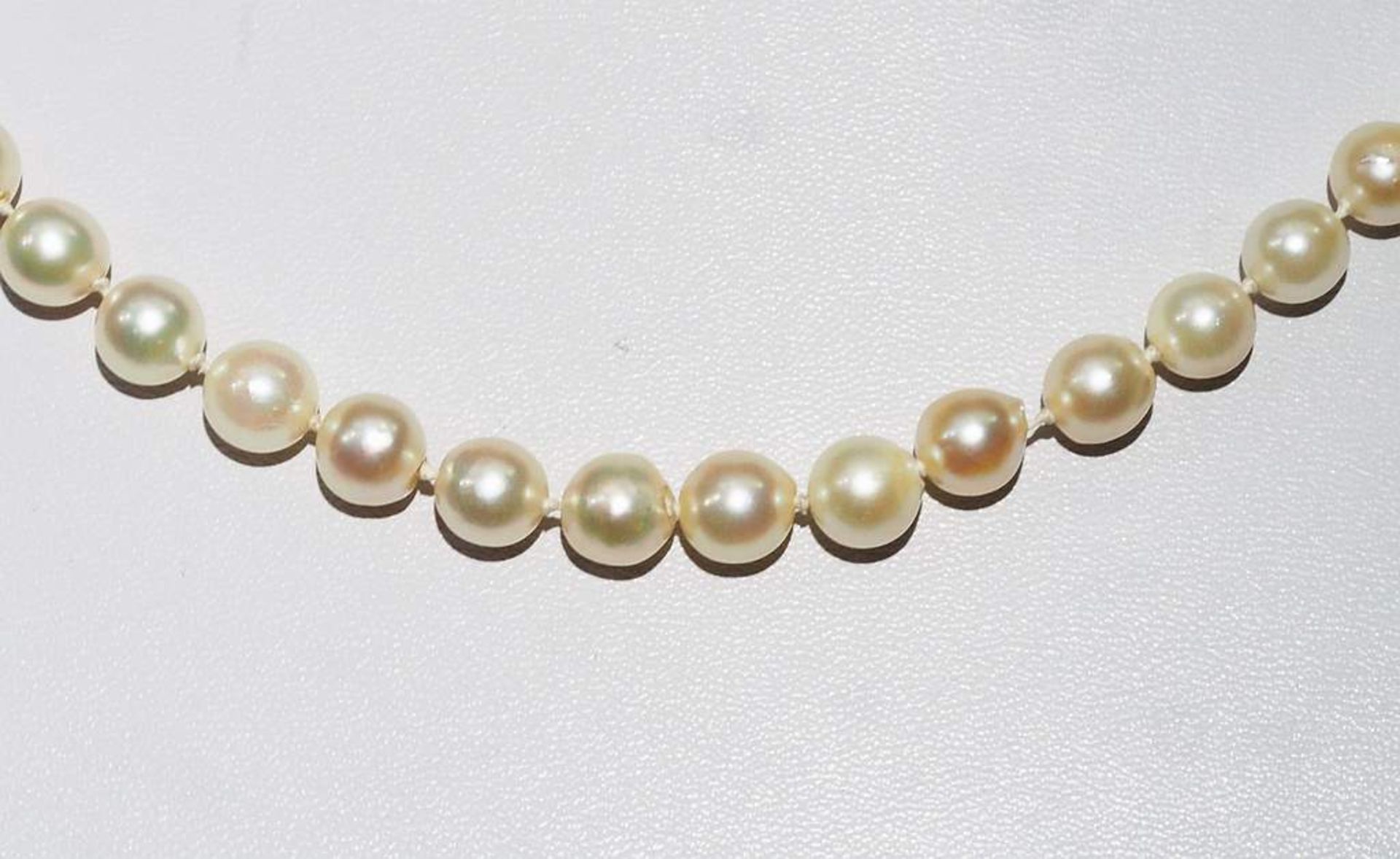 Akoya Perlenkette, einzeln verknotet mit Schmuckverschluss. - Bild 3 aus 6