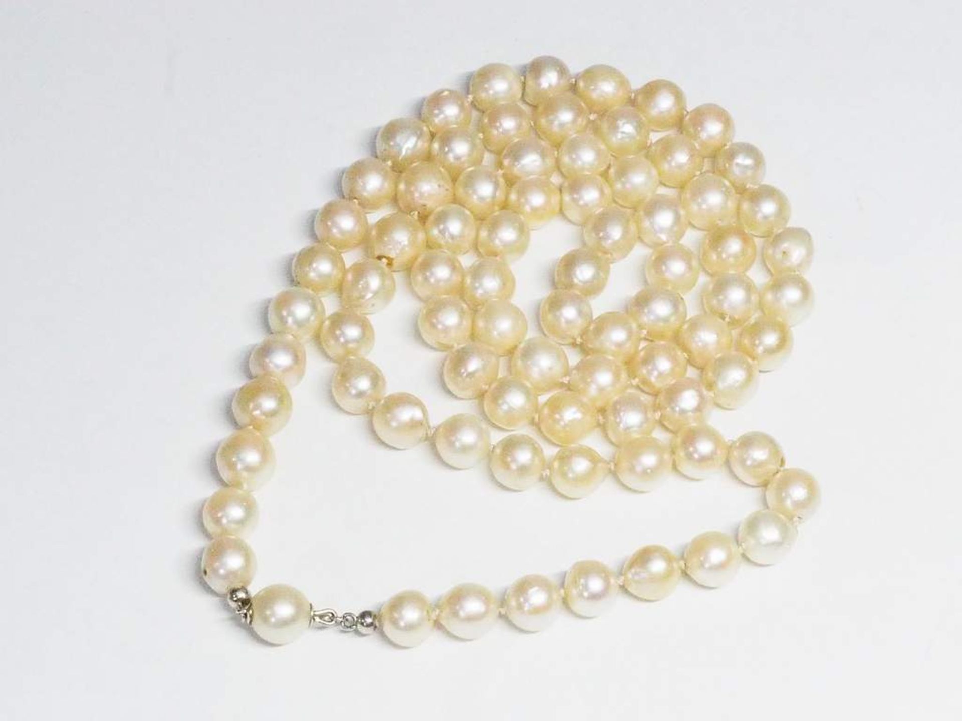 Zwei Akoya Perlenketten. - Image 5 of 8
