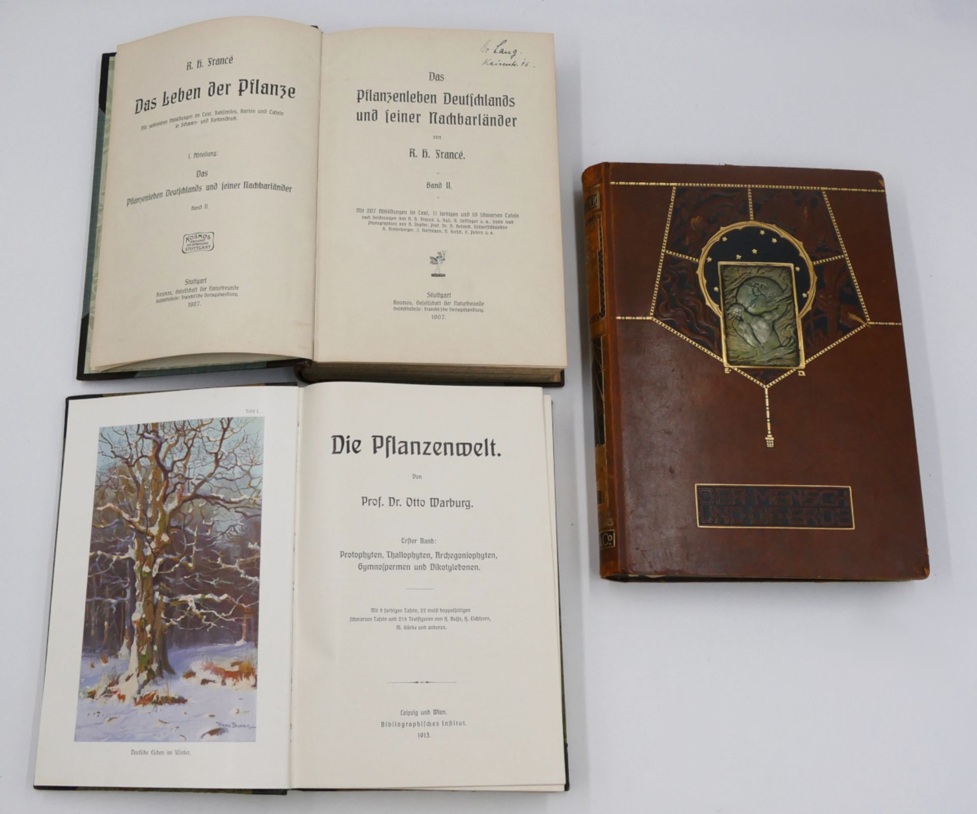 11 Bücher: "Das Leben der Pflanze" von R. H. FRANCÉ Band 1-2 Stuttgart 1906, "Die Pflanzenwelt" v. P