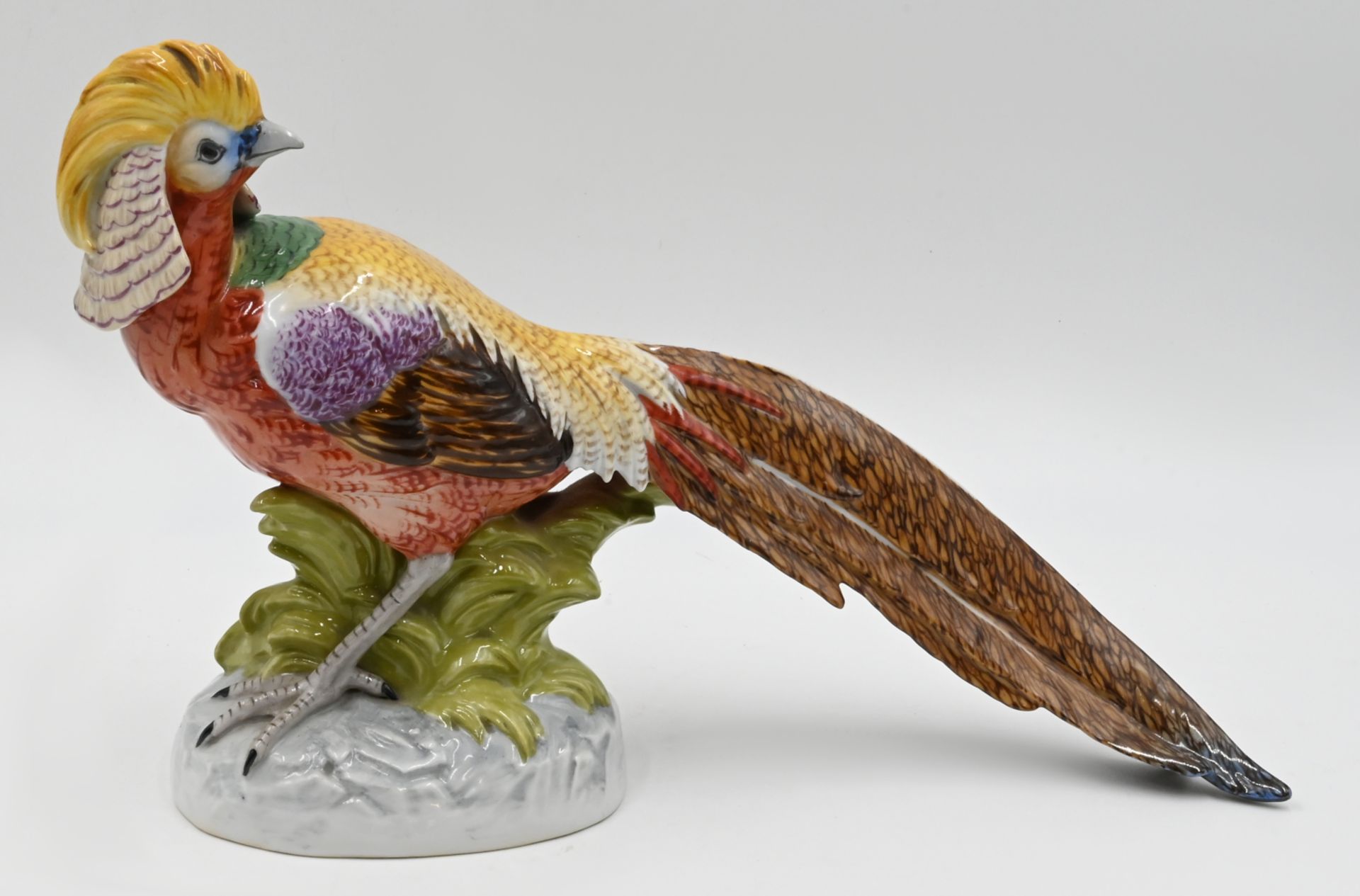 1 Porzellanfigur DRESDEN "Goldfasan" polychrom gefasst ca. L 35cm, min. ber., Asp. [KEINE -10% IM NV