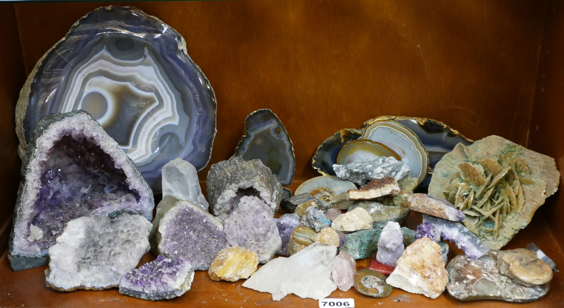 1 Konv. Mineralien: Amethyst/-druse, Quarze, Achate, Sandrose, Fossilien/Ammonite, u.a., z.T. besch. - Image 2 of 2