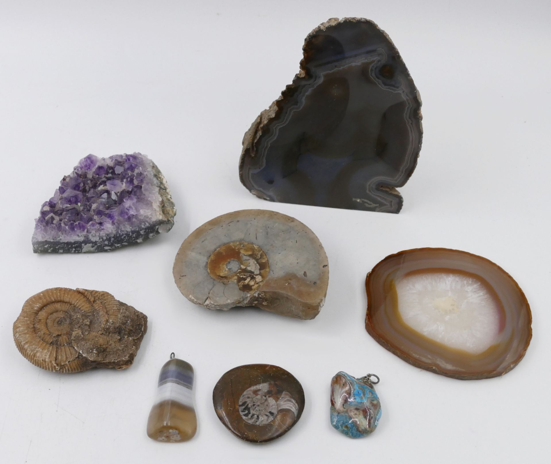 1 Konv. Mineralien: Amethyst/-druse, Quarze, Achate, Sandrose, Fossilien/Ammonite, u.a., z.T. besch.