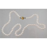 Zuchtperlcollier, aus 81 Perlen