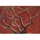 Fanny Rabel (1922-2008 Polish-Mexican), Branches