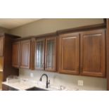 18' x 99" tall kitchen cabinet display - very nice - (dishwasher & refriger