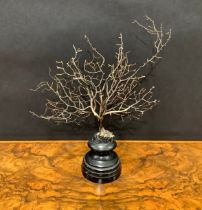 Natural History - a black coral specimen, mounted for display, 26cm high