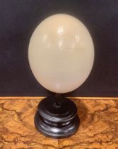 Natural History - an ostrich egg, mounted for display, 24cm high overall