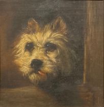 Attributed to Robert Alexander (1840 - 1923), study of a terrier looking out from a window,