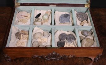 Curiosities and The Study - a collection of fossils and antiquities, including a Roman bottle,