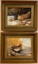 Berrisford Hill, a pair, Woodcock, and Snipe, signed, oils on canvas, each measuring 15cm x 20cm, (