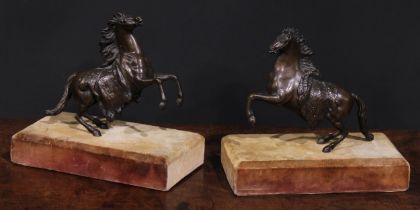 Continental School, early 20th century, a pair of brown patinated bronze models, rearing horses,