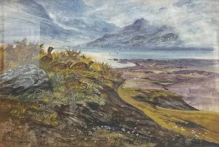 Iain Ross, Scottish (20th century) Grouse on a Clifftop signed, dated 76, watercolour, 39cm x 57cm