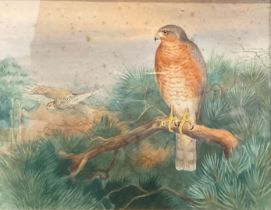 G.C. Harrison Birds of Prey signed, watercolour, 22cm x 28cm