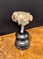 Natural History - Mycology - a painted model of fungus specimen, mounted for display, 17cm high
