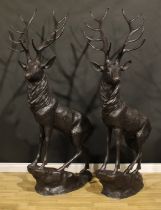 A pair of substantial contemporary dark patinated bronzed metal garden models, of stags, each