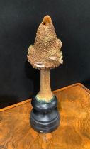 Natural History - Mycology - a painted model of fungus specimen, mounted for display, 25.5cm high