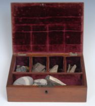 A 19th century mahogany collector's box, the hinged cover enclosing an arrangement of geological