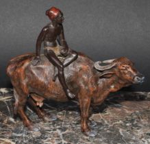 An Austrian cold painted bronze, of a North African boy riding an ox, 15cm long