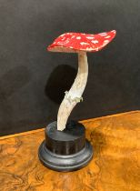Natural History - Mycology - a painted model of fungus specimen, mounted for display, 18.5cm high