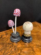 Natural History - Mycology - a painted model of fungus specimen, mounted for display, 15cm high;