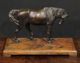 French School, 19th/early 20th century, a brown patinated bronze, of a horse, 27.5cm wide,