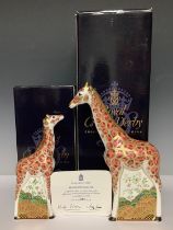 A pair of Royal Crown Derby paperweights, Giraffe, 26cm and Baby Giraffe, 19cm, gold stoppers and