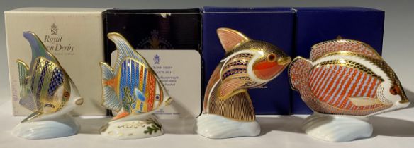 A Royal Crown Derby paperweight, Pacific Angel Fish, limited edition 162/2,500, gold stopper, 11.