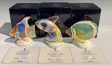 A Royal Crown Derby paperweight, Pacific Angel Fish, limited edition 101/2,500, gold stopper,