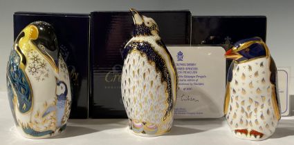 A Royal Crown Derby paperweight, Galapagos Penguin Endangered Species, Sinclairs exclusive limited