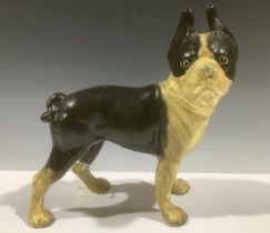 A cold painted cast iron door stop, as a Boston Terrier, marked Hubley 1916, 25cm