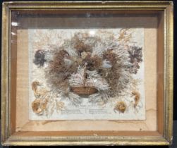 Natural History - a 19th century phycological diorama, Seaweed Basket, titled and mounted ensuite