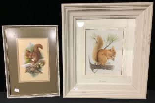 English School, Brian Eden Red Squirrel signed, watercolour, 36cm x 31cm; another, similar (2)