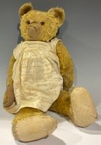 Toys & Juvenalia - an early 20th century golden mohair jointed teddy bear, amber and black glass