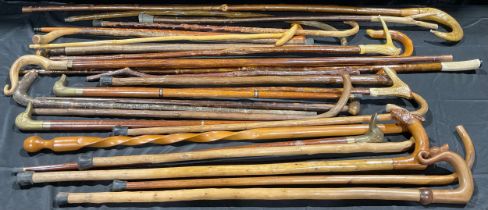 A collection of walking sticks and fell walking sticks, various sizes, including antler and horn