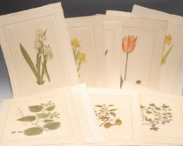 Interior Decoration, La Roche Laffitte, thirteen botanical studies, watercolours, signed,