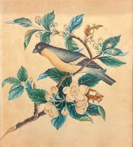 English School (19th century) Ornithological and Botanical Study, A Bird on a Flowering Branch