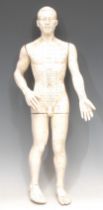 Medical Interest - a didactic acupuncture model, the male figure mapped out with a diagram of