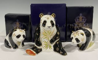 A Royal Crown Derby paperweight, Giant Panda, gold stopper, 12cm, printed mark, boxed; two others