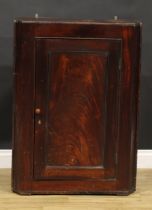 A 19th century mahogany and pine wall-hanging provision cupboard, 98cm high, 71.5cm wide, 28.5cm
