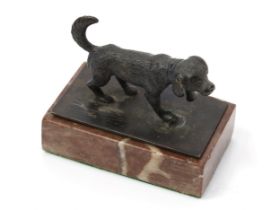 An early 20th century cabinet bronze, of a retreiver dog, rectangular marble base, 7.5cm wide