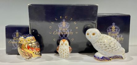 A Royal Crown Derby paperweight, Snowy Owl, Collector's Guild exclusive, gold stopper, boxed;