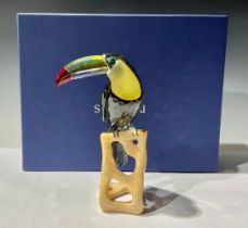 A Swarovski model of a Toucan, resting on a naturalistic wooden base, 20cm, certificate, boxed