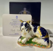 A Royal Crown Derby paperweight, Border Collie, gold backstamp limited edition, 1,166/2,500, gold