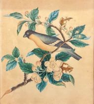 English School (19th century) Ornithological and Botanical Study, A Bird on a Flowering Branch